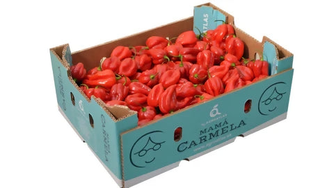 Fresh Red Habanero Pepper (Ata Rodo)