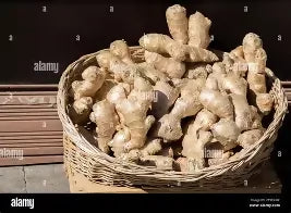 Fresh Ginger
