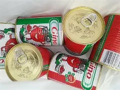 Gino Tomato Paste (tin)