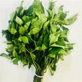Fresh Ugu Leaves