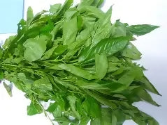 Fresh Ewedu