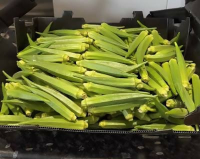 Fresh Okra